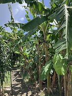 Gite Ty Koko Gadeloupe