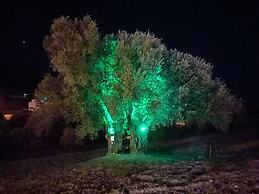 Hayela Bungalov Otel ve Restaurant