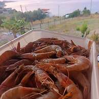 Hayela Bungalov Otel ve Restaurant