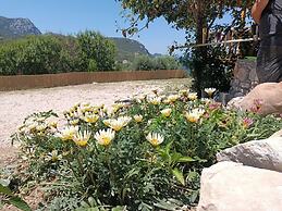 Hayela Bungalov Otel ve Restaurant