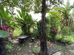 D'ulun Carik Homestay