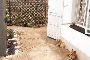 Gorgeous 1-bed Apartment in Harare