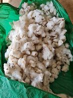 Chevere Beach Cabañas sas