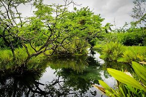 Chevere Beach Cabañas sas