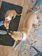 Chevere Beach Cabañas sas