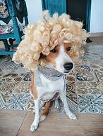 Chevere Beach Cabañas sas