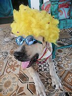 Chevere Beach Cabañas sas