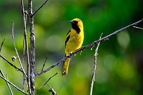 Chevere Beach Cabañas sas