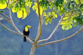 Chevere Beach Cabañas sas