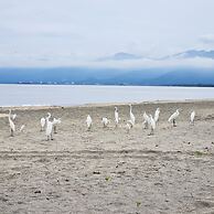 Chevere Beach Cabañas sas