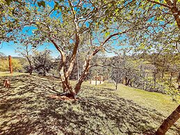 Rua José Joaquim Nogueira