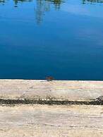 Le Ptit Canada Escape