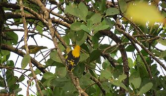 Camp Riveredge Paradise