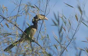 Camp Riveredge Paradise