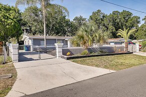 Tampa Home w/ Patio - 1 Mi to Busch Gardens!
