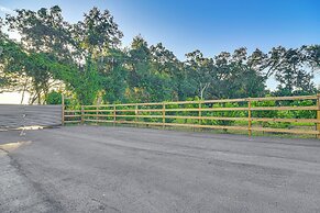 Tropical Tampa Home: Pets Welcome!