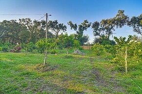 Tropical Tampa Home: Pets Welcome!