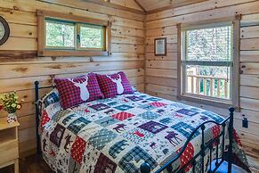 Conifer Log Cabin Rental w/ Private Hot Tub & Pond