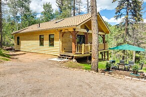 Conifer Log Cabin Rental w/ Private Hot Tub & Pond