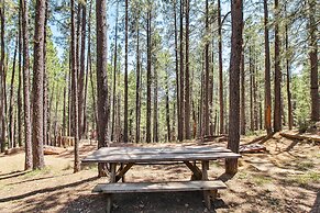 Near Trails: Forest Lake Retreat w/ Backyard Oasis