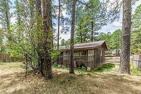 Serene Ruidoso Cabin w/ Fenced Yard Near Downtown!