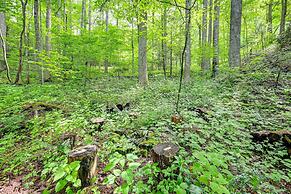 Topton Cabin w/ Hot Tub - 6 Mi to Nantahala Lake!