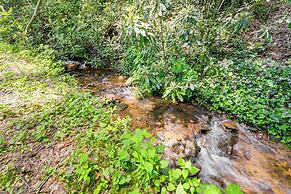 Pet-friendly Creekside Cabin w/ Pool Access!
