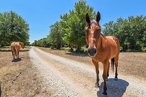 Palo Pinto Paradise on 55-acre Texas Farm