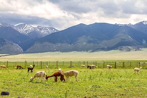 Mountain-view Montana Rental Cabin on Alpaca Farm!