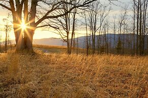 Quiet Charlottesville Hideaway in Baileys Retreat!