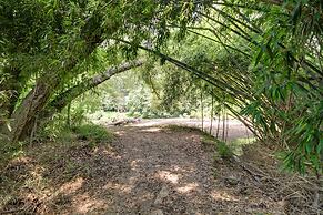 Historic Nature Retreat in Mccomb w/ River Access