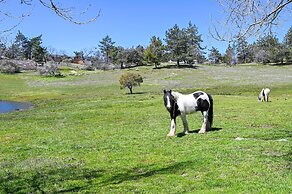 Julian Cottage Stay w/ Near Wildlife & Wineries