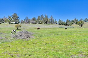 Julian Cottage Stay w/ Near Wildlife & Wineries