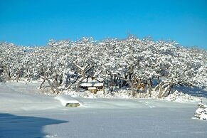 Norwood Home on 36 Acres: Hunting, Fishing & More!