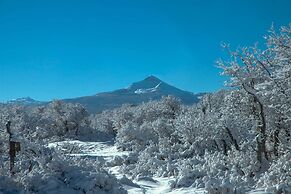 Norwood Home on 36 Acres: Hunting, Fishing & More!