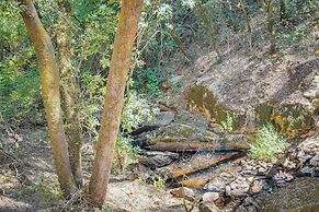 Meadow Vista Mountain Escape w/ River Views!