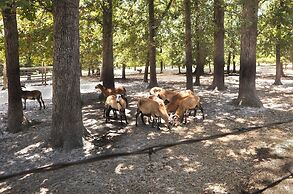 Secluded Rural Home in Normangee!