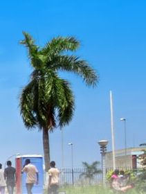 Cabinda Hotels