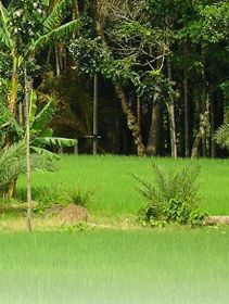 Jessore Hotels