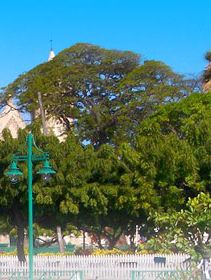 Bridgetown Hotels