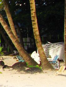 Worthing Hotels