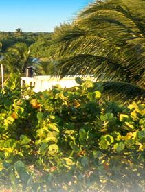 St. George's Caye Hotels