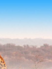 Selebi-Phikwe Hotels