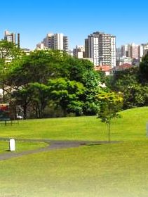 Curitiba Hotels