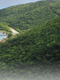 Great Harbour Hotels