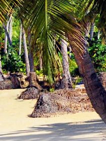 Las Terrenas Hotels