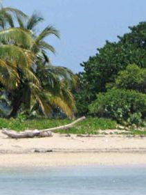 La Ceiba Otel