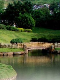 Pune Hotels