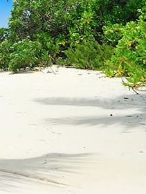 Emboodhu Finolhu Hotels