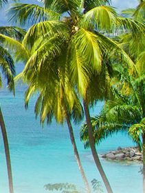 Trois-Ilets Hotels